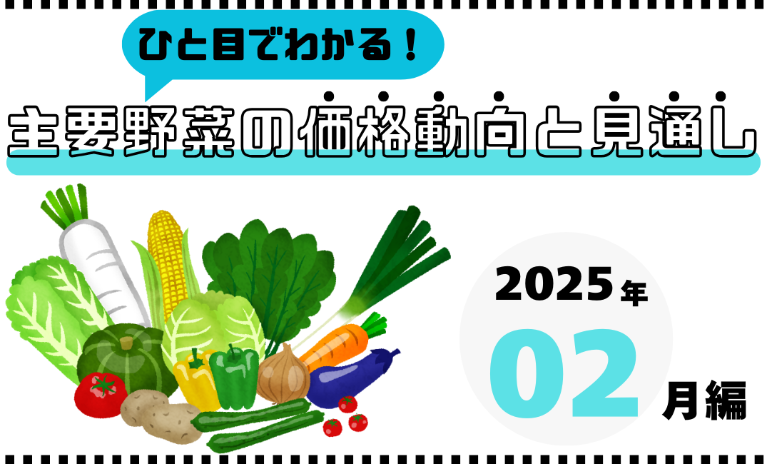 【栄養士＆主婦必見】ひと目でわかる！主要野菜の価格動向と見通し｜2025年2月版